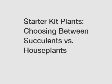 Starter Kit Plants: Choosing Between Succulents vs. Houseplants