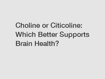 Choline or Citicoline: Which Better Supports Brain Health?