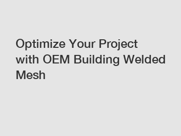 Optimize Your Project with OEM Building Welded Mesh