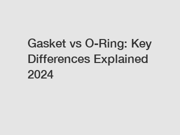 Gasket vs O-Ring: Key Differences Explained 2024