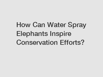 How Can Water Spray Elephants Inspire Conservation Efforts?