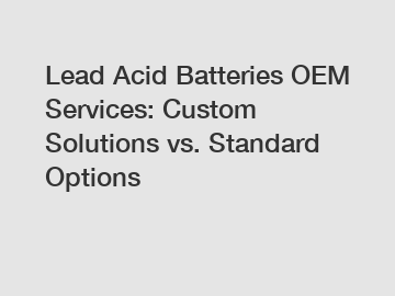 Lead Acid Batteries OEM Services: Custom Solutions vs. Standard Options