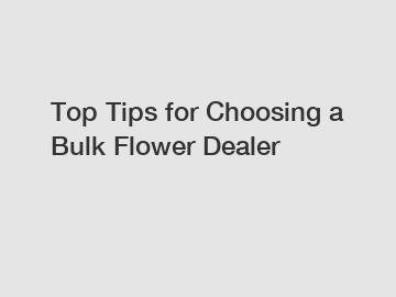 Top Tips for Choosing a Bulk Flower Dealer