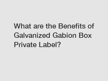 What are the Benefits of Galvanized Gabion Box Private Label?