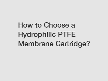 How to Choose a Hydrophilic PTFE Membrane Cartridge?