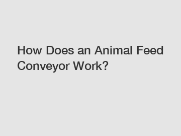 How Does an Animal Feed Conveyor Work? How Does an Animal Feed Conveyor Work?