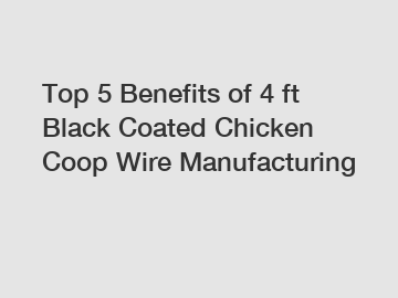 Top 5 Benefits of 4 ft Black Coated Chicken Coop Wire Manufacturing