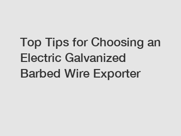 Top Tips for Choosing an Electric Galvanized Barbed Wire Exporter