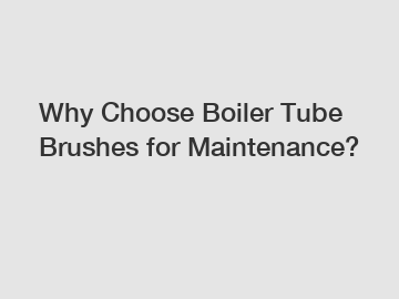 Why Choose Boiler Tube Brushes for Maintenance?