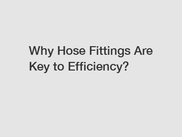 Why Hose Fittings Are Key to Efficiency?
