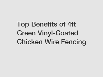 Top Benefits of 4ft Green Vinyl-Coated Chicken Wire Fencing