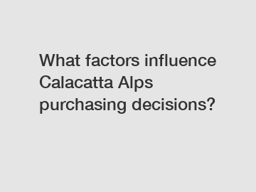 What factors influence Calacatta Alps purchasing decisions?