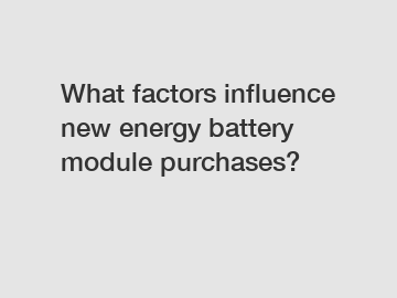 What factors influence new energy battery module purchases?