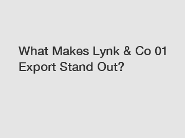 What Makes Lynk & Co 01 Export Stand Out?