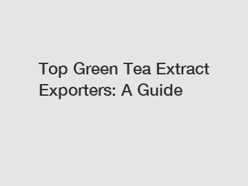 Top Green Tea Extract Exporters: A Guide