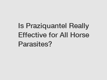 Is Praziquantel Really Effective for All Horse Parasites?