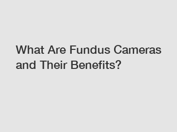 What Are Fundus Cameras and Their Benefits?