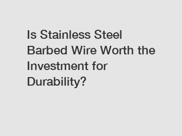 Is Stainless Steel Barbed Wire Worth the Investment for Durability?