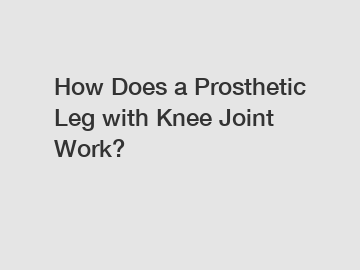 How Does a Prosthetic Leg with Knee Joint Work?