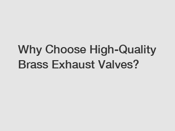 Why Choose High-Quality Brass Exhaust Valves?