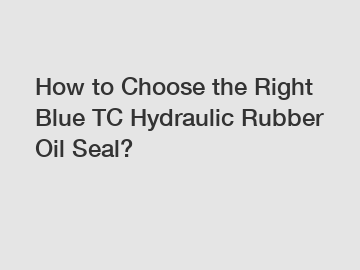 How to Choose the Right Blue TC Hydraulic Rubber Oil Seal?