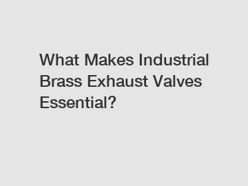 What Makes Industrial Brass Exhaust Valves Essential?