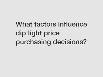 What factors influence dip light price purchasing decisions?