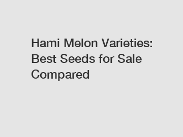 Hami Melon Varieties: Best Seeds for Sale Compared