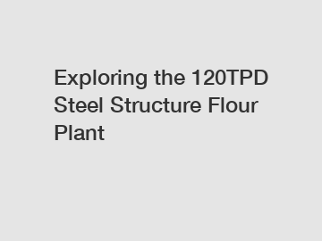 Exploring the 120TPD Steel Structure Flour Plant