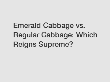 Emerald Cabbage vs. Regular Cabbage: Which Reigns Supreme?