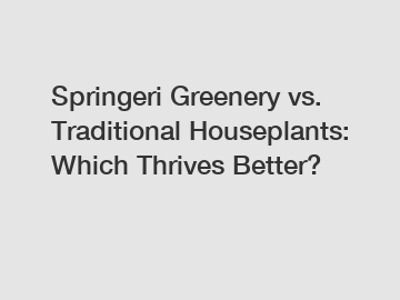 Springeri Greenery vs. Traditional Houseplants: Which Thrives Better?