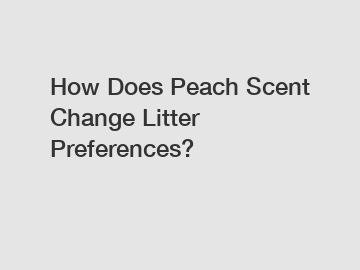 How Does Peach Scent Change Litter Preferences?