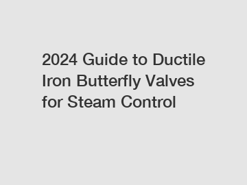 2024 Guide to Ductile Iron Butterfly Valves for Steam Control