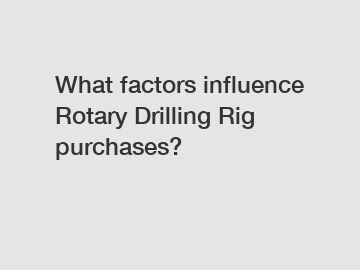What factors influence Rotary Drilling Rig purchases?