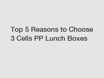 Top 5 Reasons to Choose 3 Cells PP Lunch Boxes