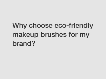 Why choose eco-friendly makeup brushes for my brand?