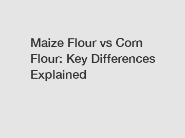 Maize Flour vs Corn Flour: Key Differences Explained