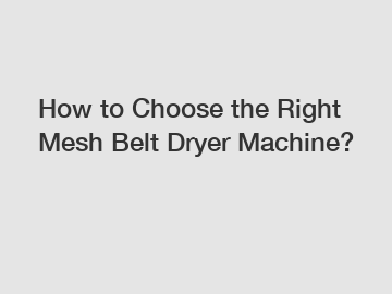 How to Choose the Right Mesh Belt Dryer Machine?
