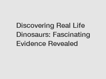 Discovering Real Life Dinosaurs: Fascinating Evidence Revealed