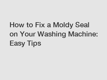 How to Fix a Moldy Seal on Your Washing Machine: Easy Tips