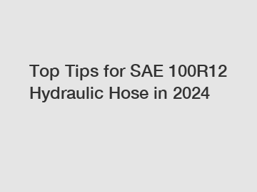 Top Tips for SAE 100R12 Hydraulic Hose in 2024