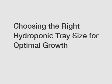 Choosing the Right Hydroponic Tray Size for Optimal Growth