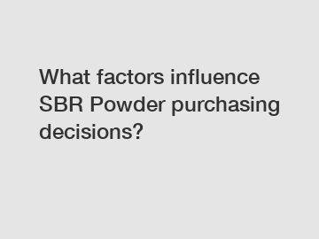 What factors influence SBR Powder purchasing decisions?