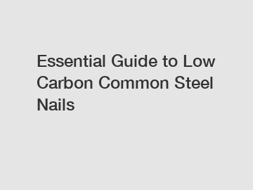 Essential Guide to Low Carbon Common Steel Nails