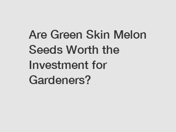 Are Green Skin Melon Seeds Worth the Investment for Gardeners?