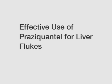 Effective Use of Praziquantel for Liver Flukes