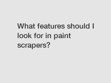 What features should I look for in paint scrapers?