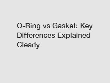 O-Ring vs Gasket: Key Differences Explained Clearly