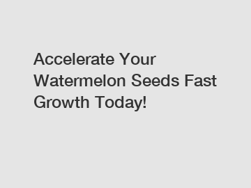Accelerate Your Watermelon Seeds Fast Growth Today!