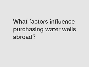 What factors influence purchasing water wells abroad?